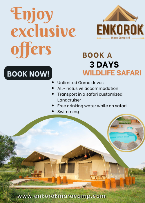 safari offers