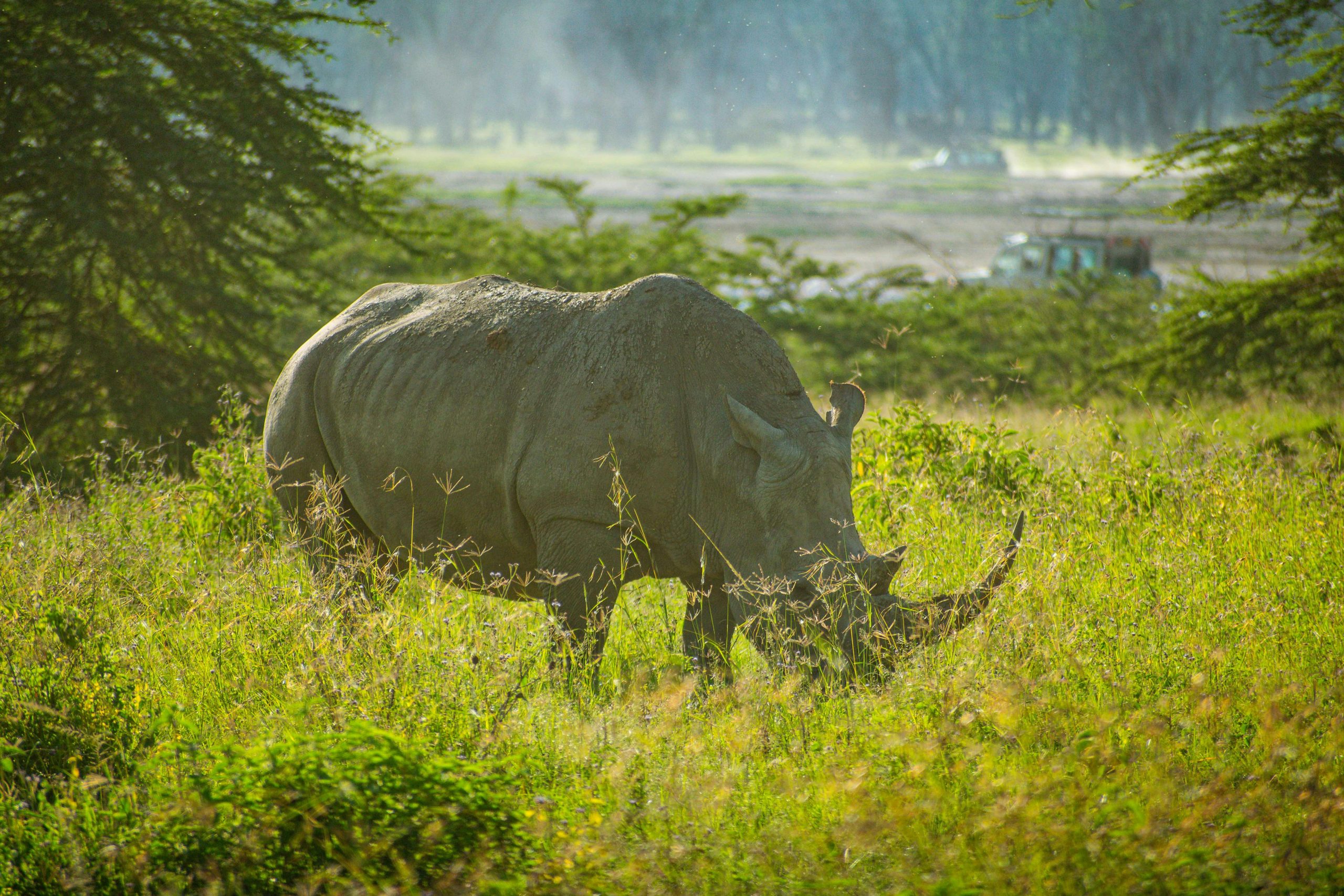 3 Days Masai Mara Flying safari